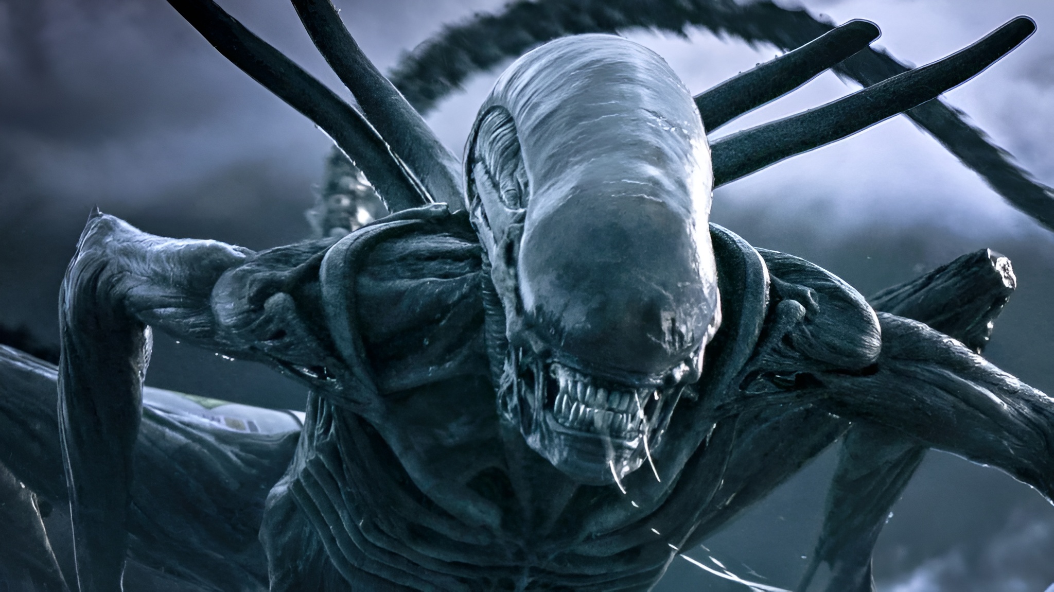 xenomorfo